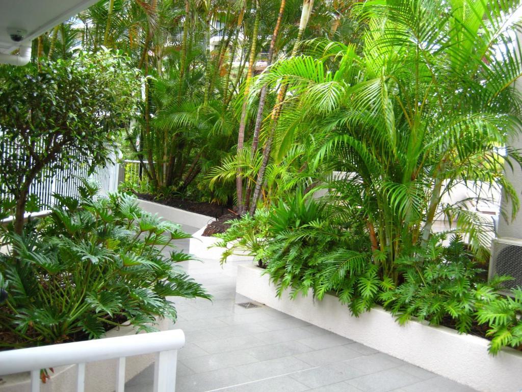 Costa D'Ora Holiday Apartments Gold Coast Eksteriør billede